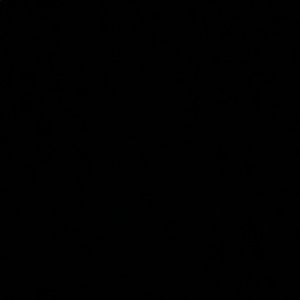 Meet your Posher, Marty